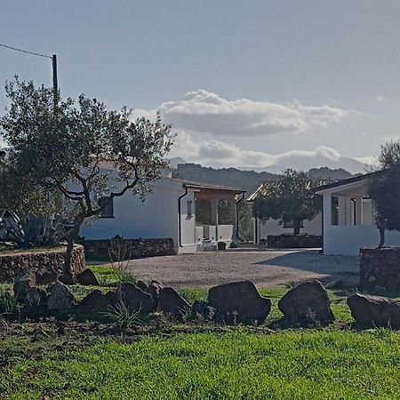 Agriturismo Sa Murta Dorgali Esterno foto