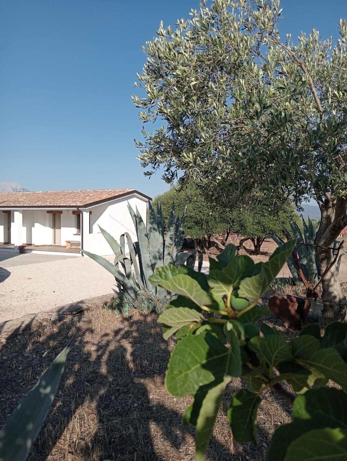 Agriturismo Sa Murta Dorgali Esterno foto
