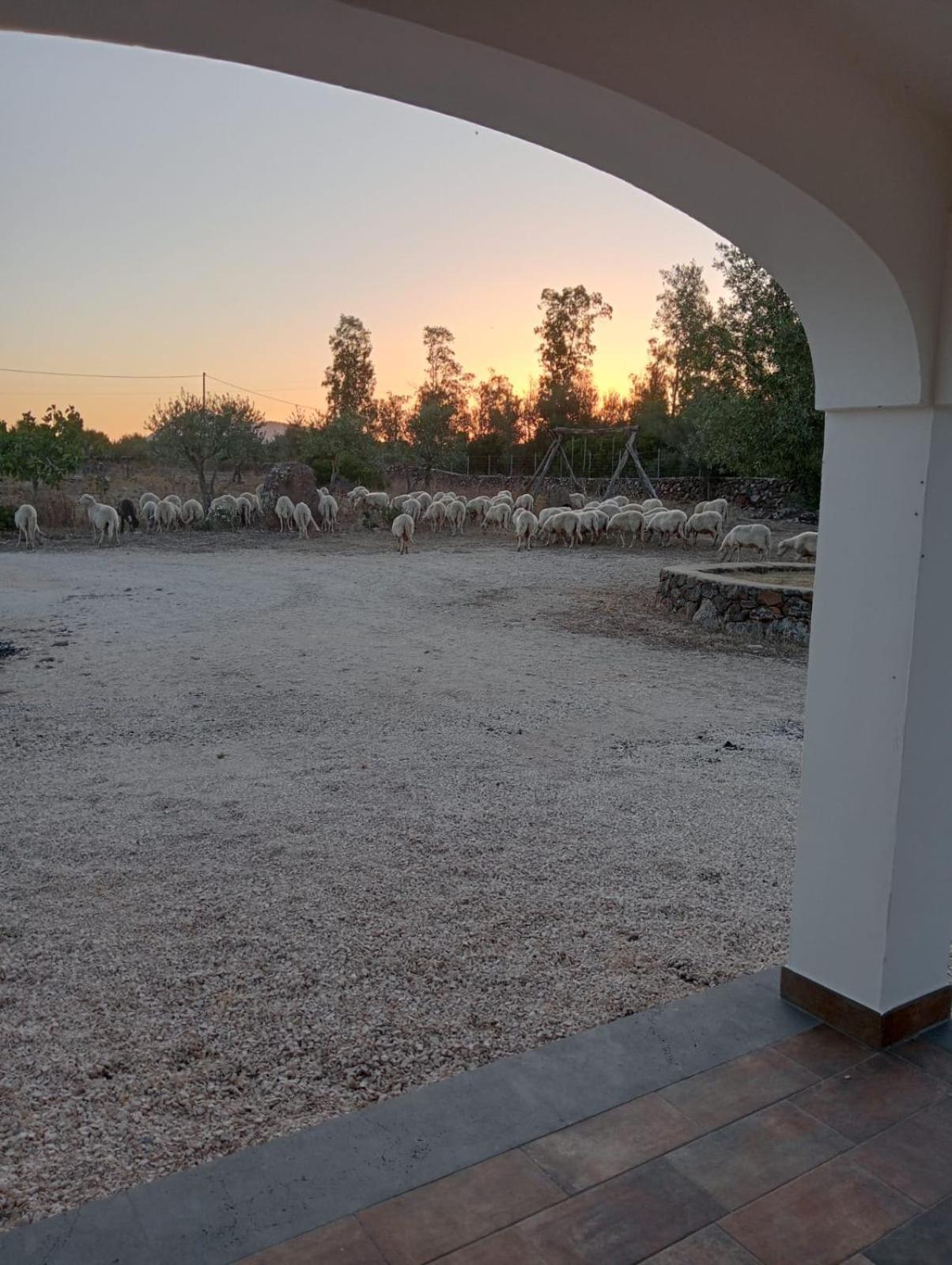 Agriturismo Sa Murta Dorgali Esterno foto