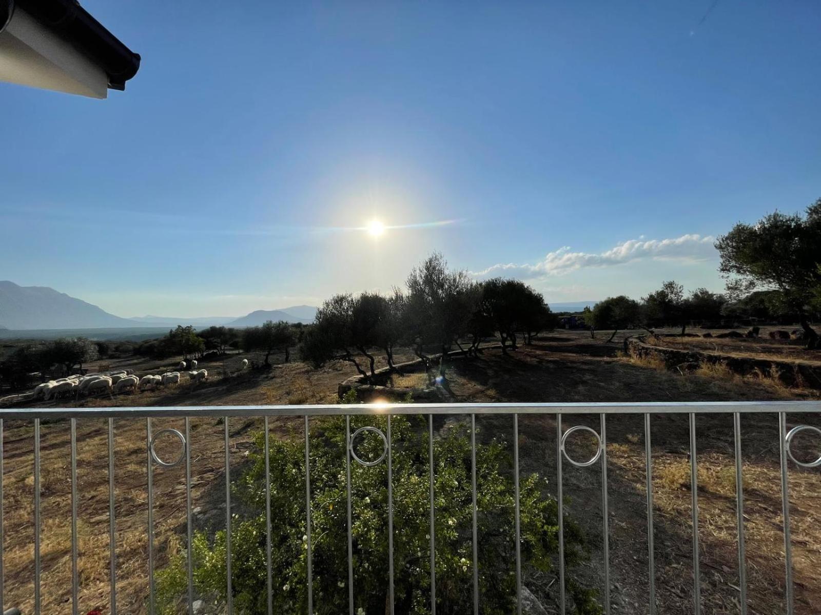 Agriturismo Sa Murta Dorgali Esterno foto