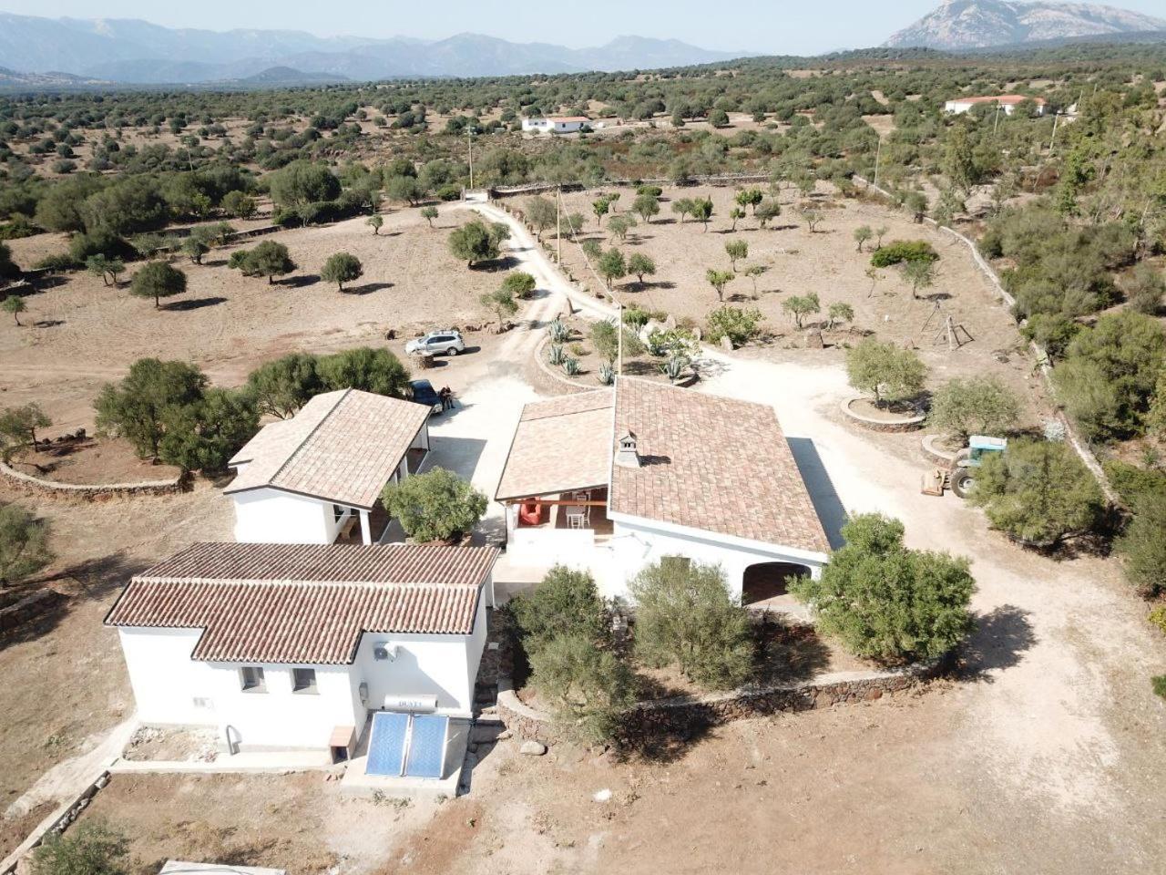 Agriturismo Sa Murta Dorgali Esterno foto