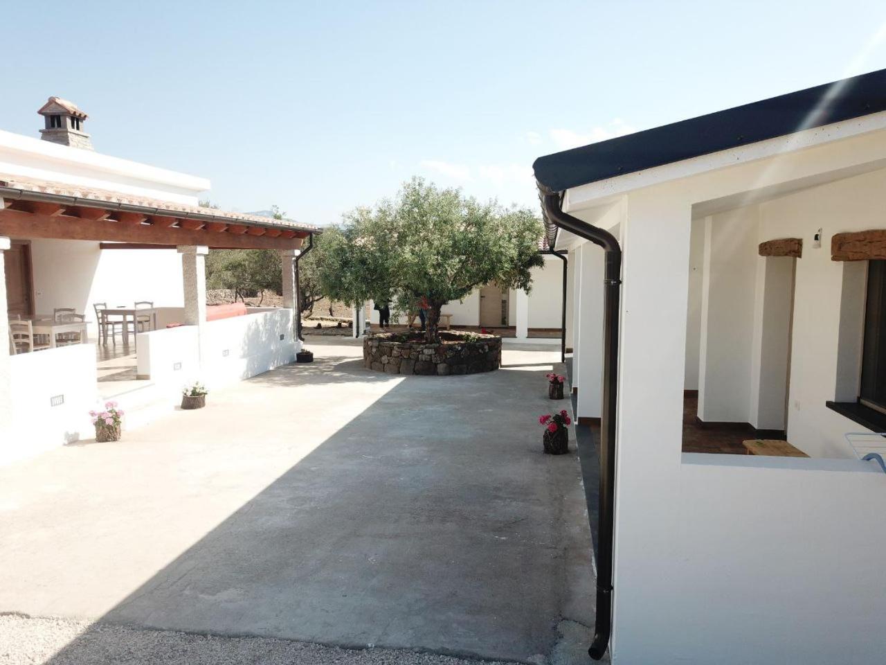 Agriturismo Sa Murta Dorgali Esterno foto