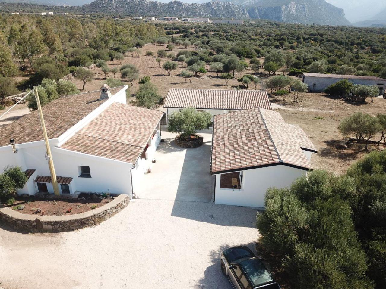 Agriturismo Sa Murta Dorgali Esterno foto