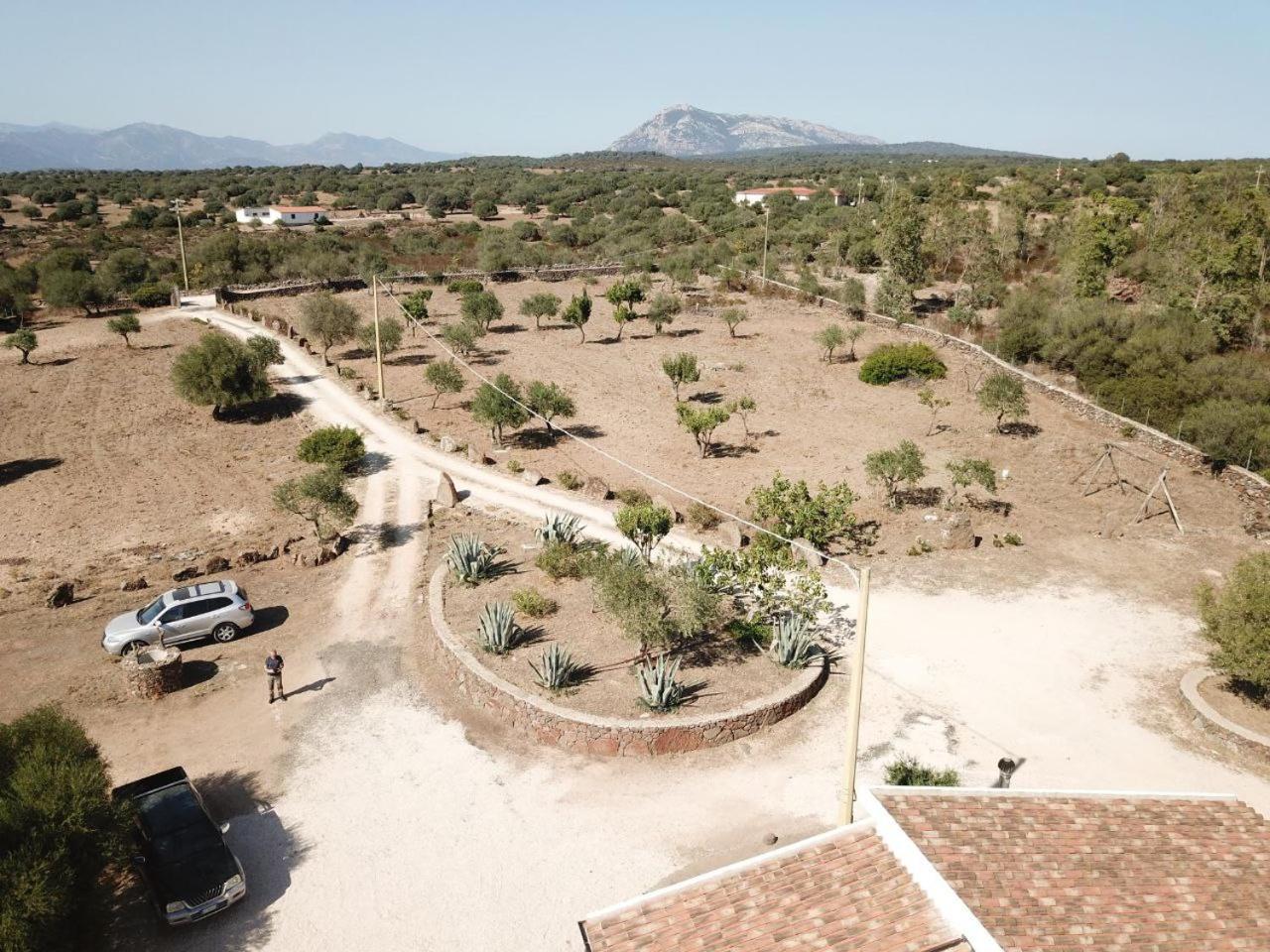 Agriturismo Sa Murta Dorgali Esterno foto