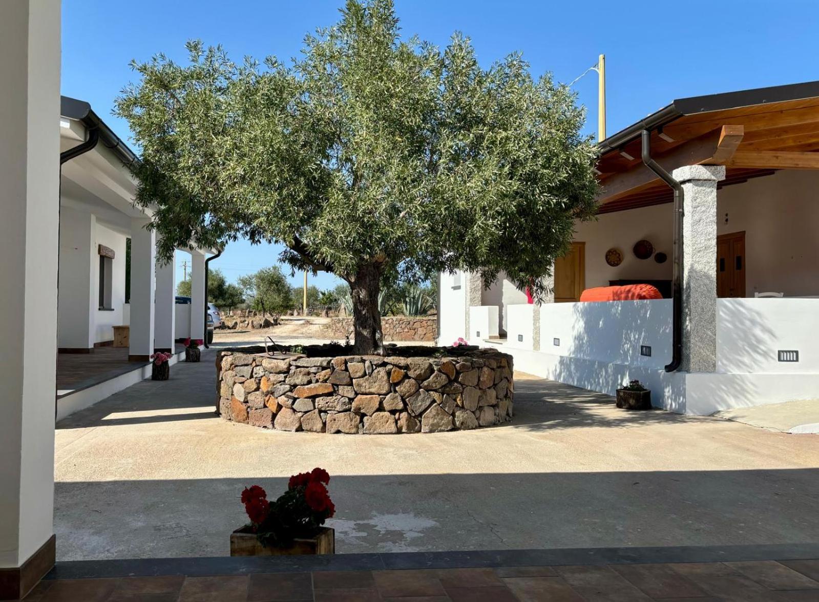 Agriturismo Sa Murta Dorgali Esterno foto