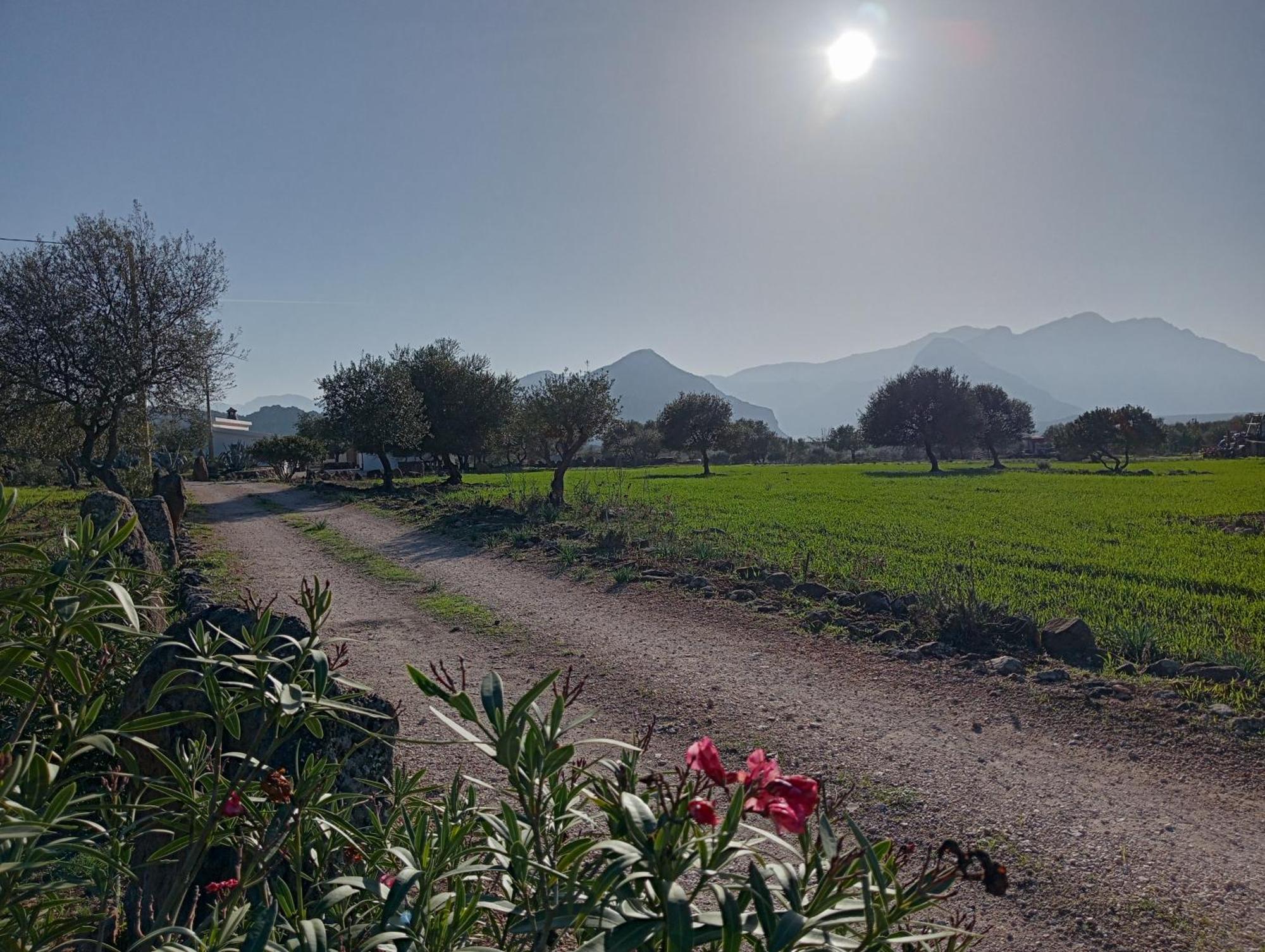 Agriturismo Sa Murta Dorgali Esterno foto