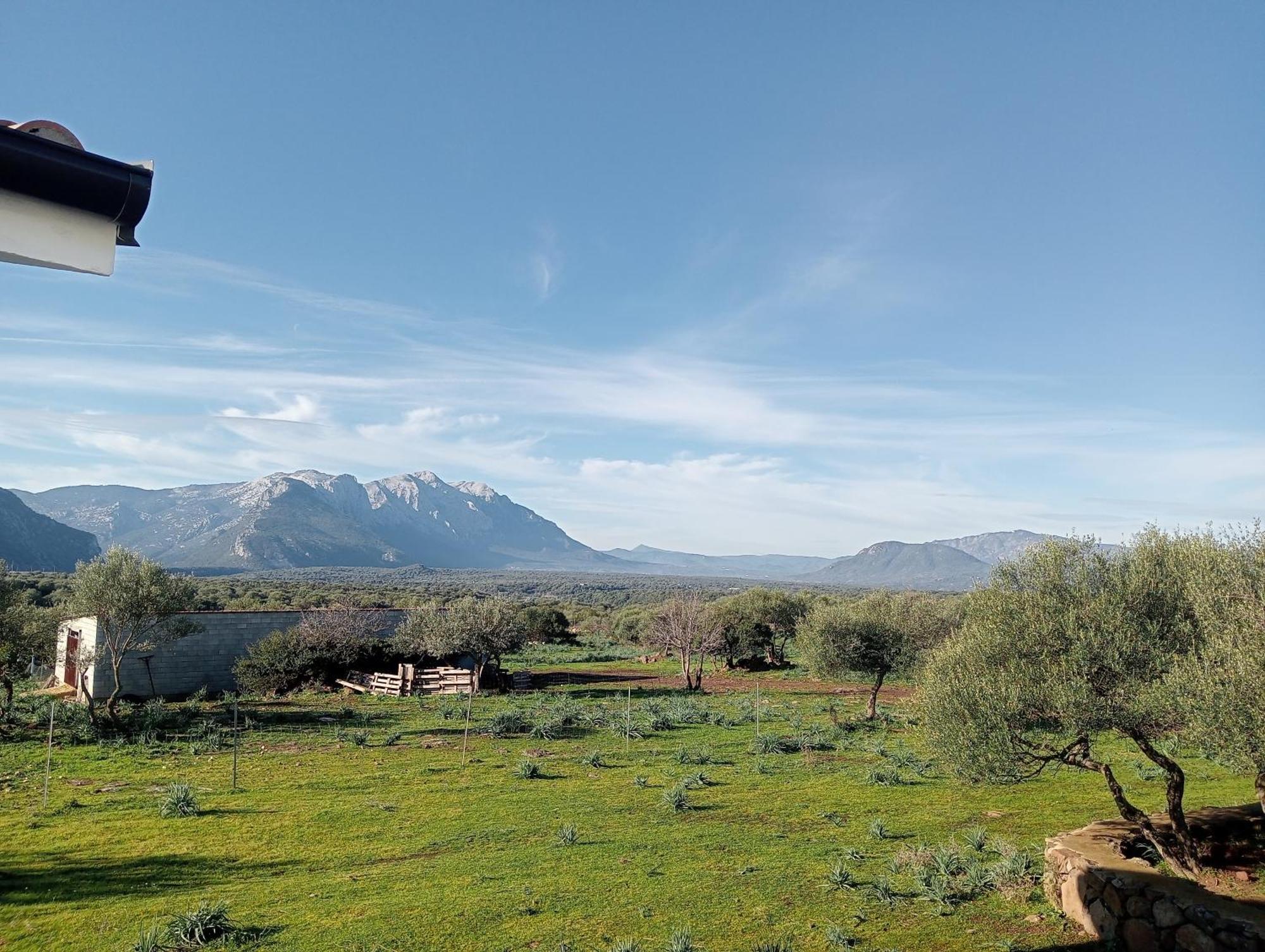 Agriturismo Sa Murta Dorgali Esterno foto