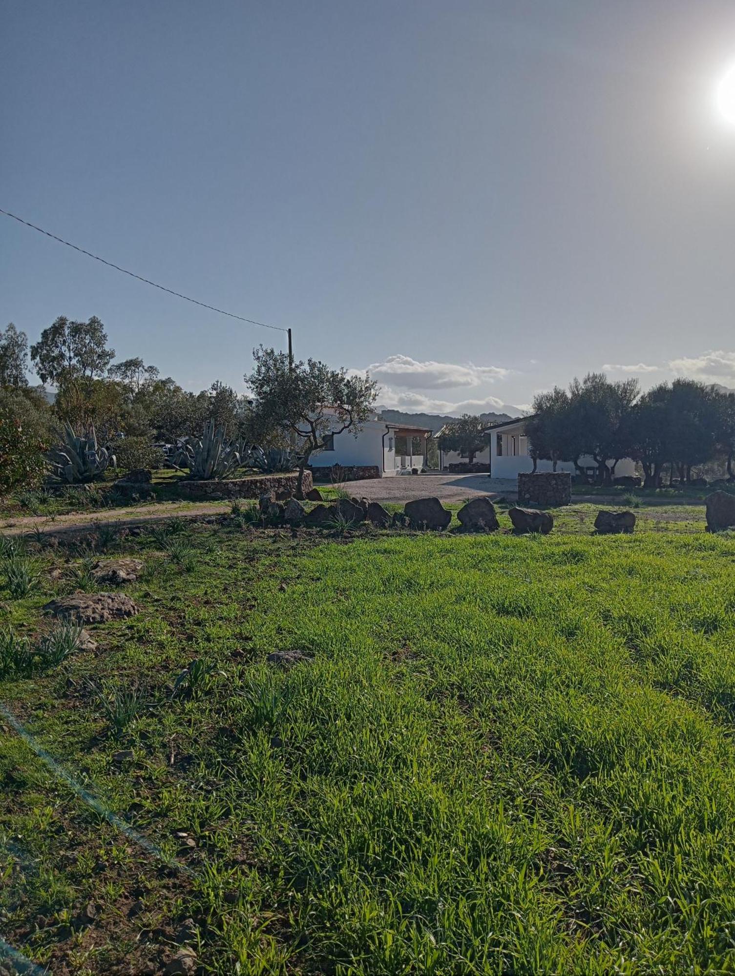 Agriturismo Sa Murta Dorgali Esterno foto